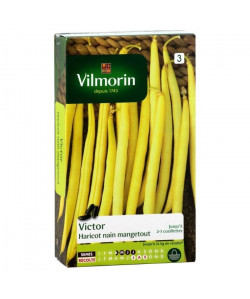 VILMORIN Haricot Victor Sachet de graines