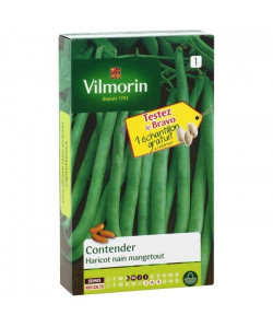 VILMORIN Sachet graines de Haricot nain mangetout CONTENDER  Echantillon gratuit Haricot BRAVO