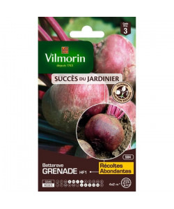 VILMORIN Sachet graines de Betterave GRENADE