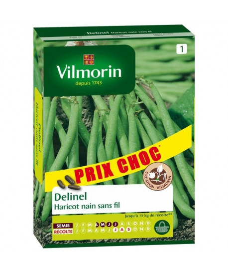 VILMORIN Sachet graines de Haricot nain sans fil DELINEL