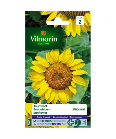 VILMORIN Tournesol zebulon