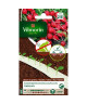 VILMORIN Ruban graines de Radis TINTO  2 x 2,5 m