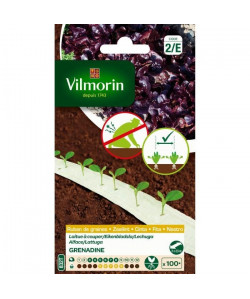 VILMORIN Ruban graines de Laitue a couper GRENADINE  2 x 2,5 m