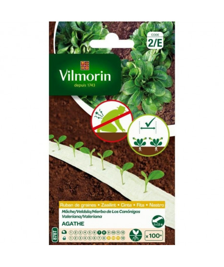 VILMORIN Ruban mélange graines de Mâche AGATHE  2 x 2,5 m