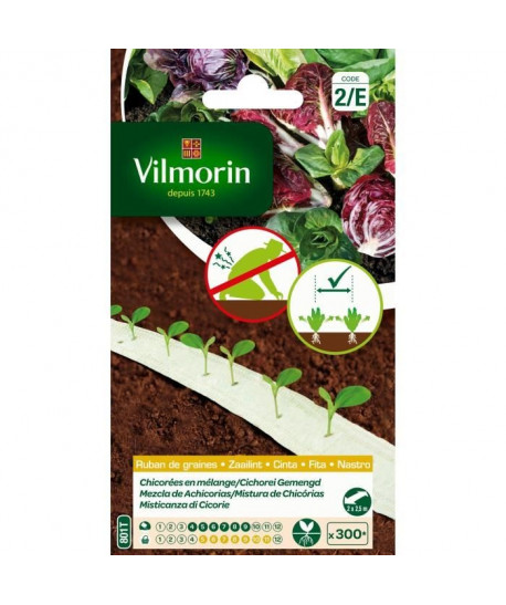 VILMORIN Ruban mélange graines de Chicorées  2 x 2,5 m