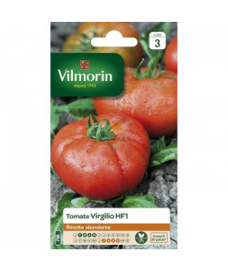 VILMORIN Tomate Virgilio HF1 Sachet de graines