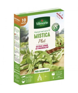 VILMORIN Graines de haricot mistica  10 M