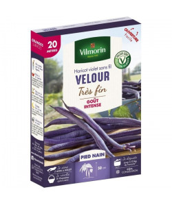 VILMORIN Graines de haricot velour gousse violette  20 M