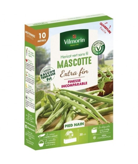 VILMORIN Graines de haricot mascotte  10 M