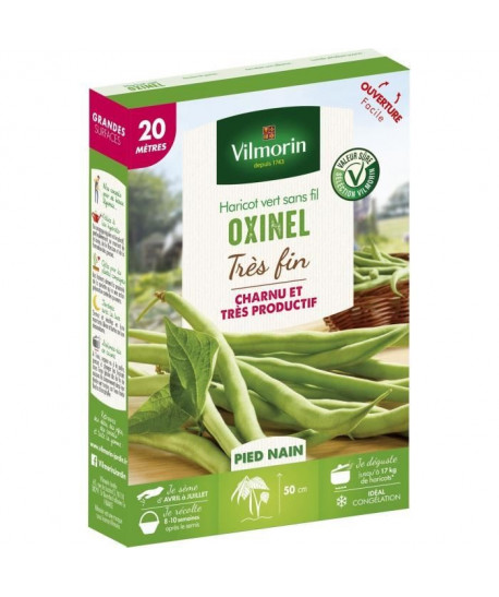 VILMORIN Graines de haricot oxinel  20 M