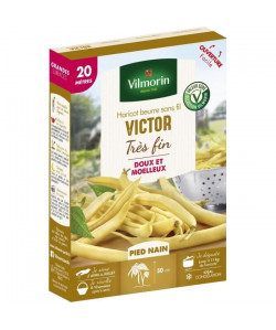 VILMORIN Graines de haricot victor  20 M