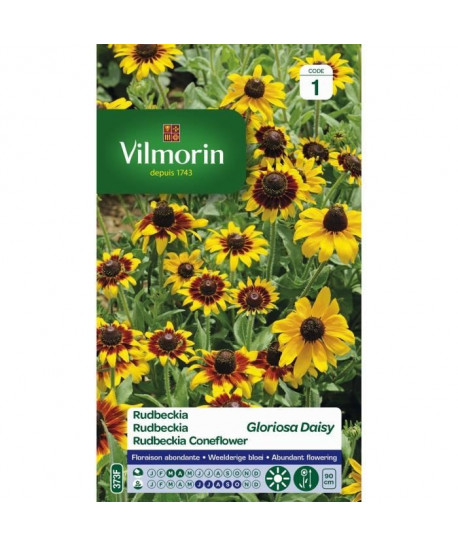 VILMORIN Graines de rudbeckia gloriosa daisy