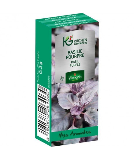 KITCHEN GARDENING Graines de basilic pourpre