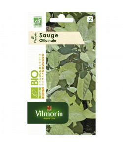 VILMORIN Graines de sauge  Bio