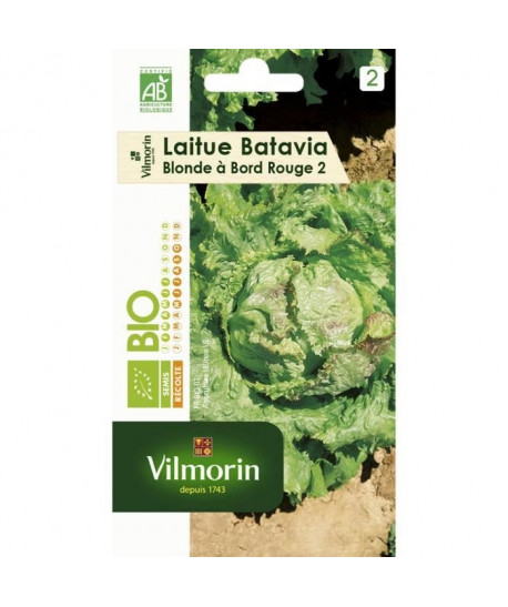 VILMORIN Graines de laitue blonde a bord rouge 2