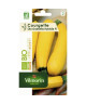 VILMORIN Graines de courgette ola gabriella  Bio