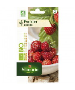 VILMORIN Graines de fraisier des bois