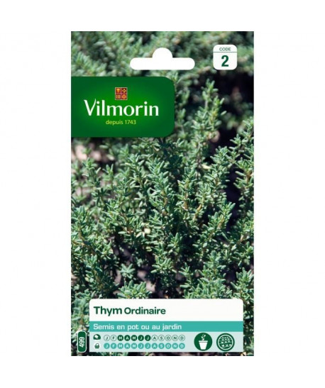 VILMORIN Sachet graines de Thym ordinaire