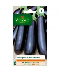 VILMORIN Aubergine de Barbentane