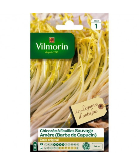 VILMORIN Chicorée a larges feuilles ameres type Barbe de Capucin