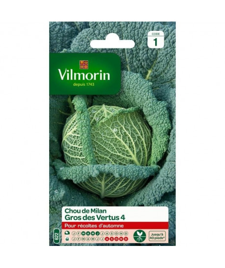 VILMORIN Chou de Milan gros des vertus