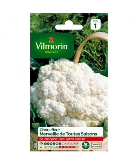 VILMORIN Choufleur Merveille de toutes saisons