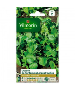 VILMORIN Cresson de Fontaine a larges feuilles