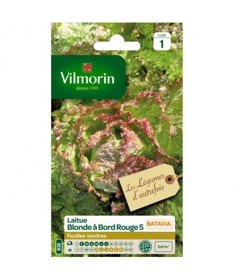 VILMORIN Laitue Batavia Blonde a bord rouge 5