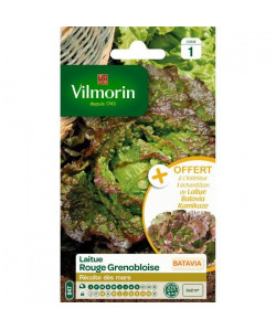 VILMORIN Sachet graines de Laitue Batavia rouge Grenobloise