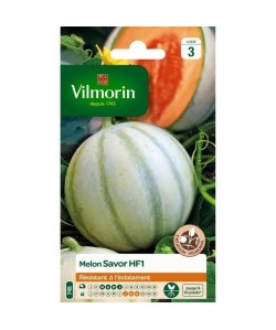 VILMORIN Melon Savor