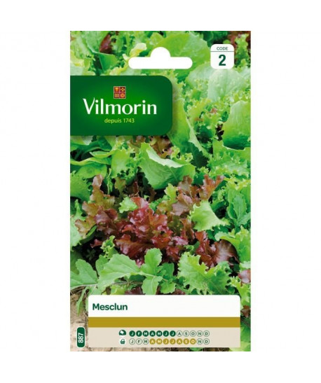 VILMORIN Mesclun