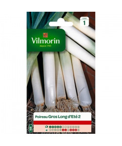 VILMORIN Poireau gros long d\'été 2