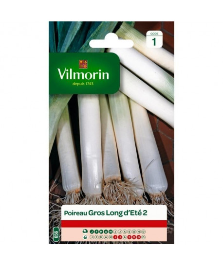 VILMORIN Poireau gros long d\'été 2