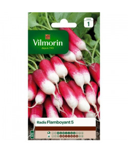 VILMORIN Radis Flamboyant