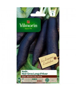 VILMORIN Radis noir gros long d hiver