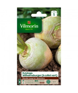 VILMORIN Rutabaga jaune a collet vert