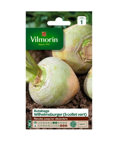 VILMORIN Rutabaga jaune a collet vert