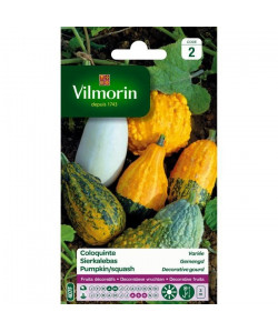 VILMORIN Coloquinte en mélange