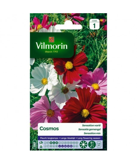 VILMORIN Cosmos Sensation varié