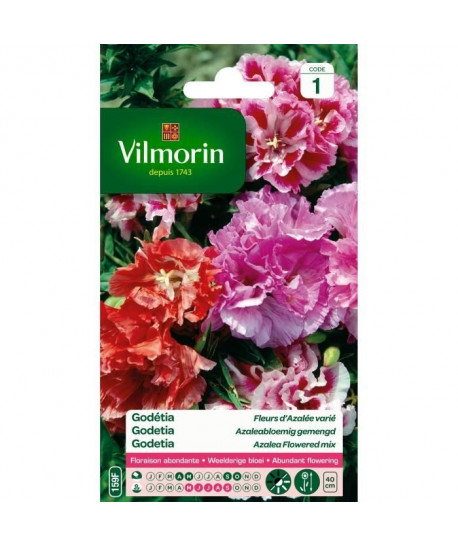 VILMORIN Godetia double a fleur d\'azalée varié