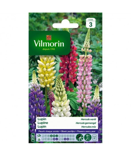 VILMORIN Lupin Hercule varié