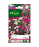 VILMORIN Phlox de Drummond nain beaute varié