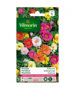 VILMORIN Pourpier a grande fleur double varié