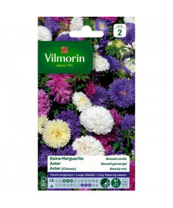 VILMORIN Reine marguerite Beaute variée