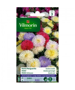 VILMORIN Reine marguerite Exotica variée