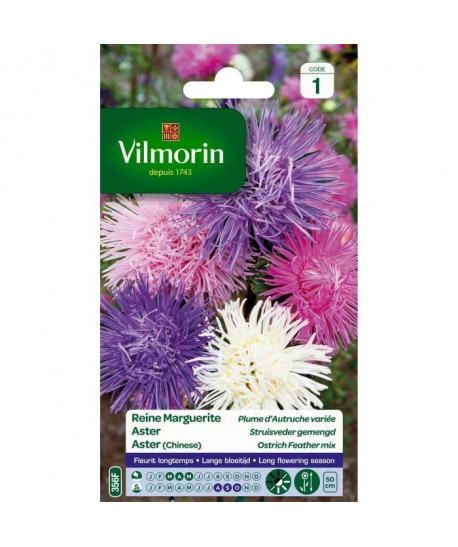 VILMORIN Reine marguerite Plume d\'Autruche variée