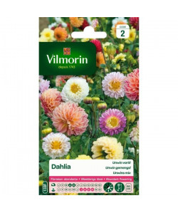 VILMORIN Dahlia Unwin varié