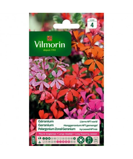 VILMORIN Géranium lierre F1 Songe d\'été varié