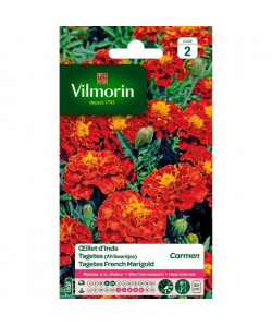 VILMORIN oeillet d\'Inde Carmen brun