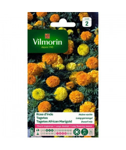 VILMORIN Rose d\'Inde naine variée